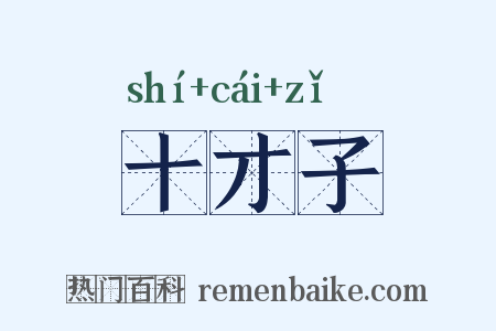 十才子是什么意思的图片